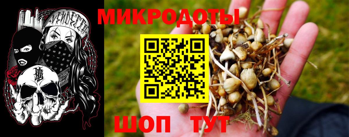 Кушва  Галлюциногенные грибы мухоморы  Вход с VPN 
