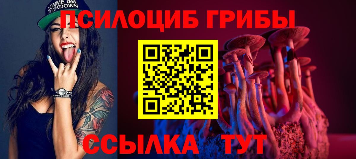 Галлюциногенные грибы Psilocybe Кушва